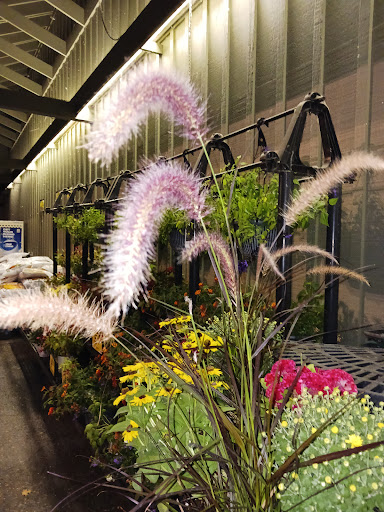 Grocery Store «Quality Food Center», reviews and photos, 926 164th St SE, Mill Creek, WA 98012, USA