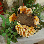 Photo n°2 de l'avis de Gianfranco.i fait le 25/08/2023 à 00:41 sur le  Ristorante Pizzeria Le Magnolie à Campanella-Gianforma