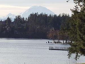 Lake Wilderness Lodge - photo 8