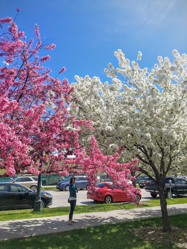 Park «Confluence Park», reviews and photos, 2250 15th St, Denver, CO 80202, USA