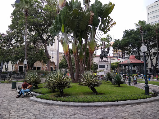 Parque Seminario