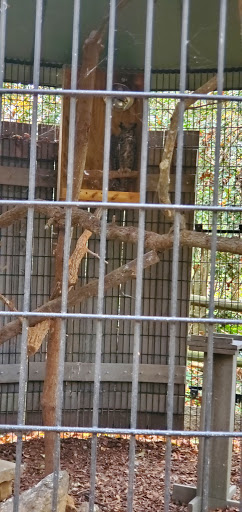 Government Office «Bear Hollow Wildlife Trail», reviews and photos, 293 Gran Ellen Dr, Athens, GA 30606, USA