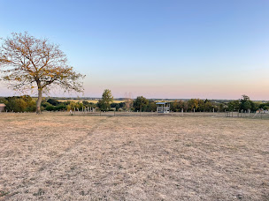 Photo n°80 de Friterie Belge à Commequiers ()