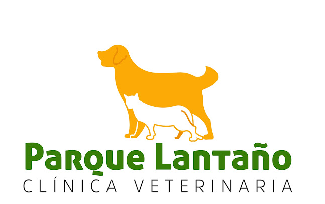 Opiniones de Clínica Veterinaria Parque Lantaño en Chillán - Veterinario