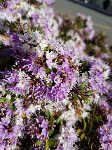 Pet Supply Store «Mini Pet Mart», reviews and photos, 815 S Broadway, Coos Bay, OR 97420, USA