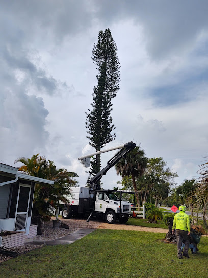 Tree Scaping Of Naples Inc