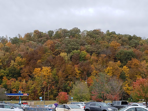 Department Store «Walmart Supercenter», reviews and photos, 1626 TN-12, Ashland City, TN 37015, USA
