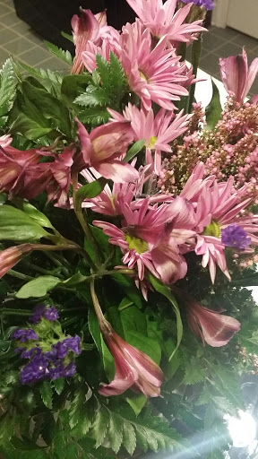 Florist «Axelrod Flowers», reviews and photos, 4429 Whitaker Ave, Philadelphia, PA 19120, USA