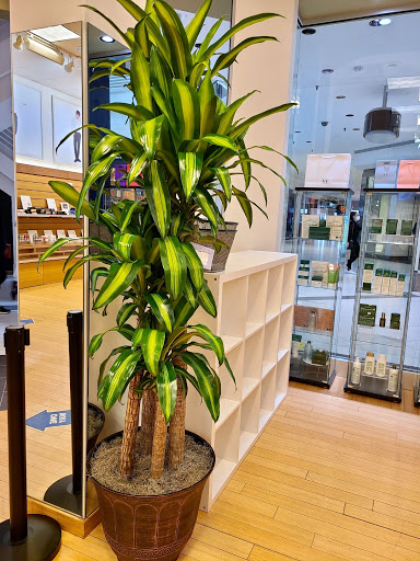 Florist «Rogers Park Florist», reviews and photos, 1415 W Morse Ave, Chicago, IL 60626, USA