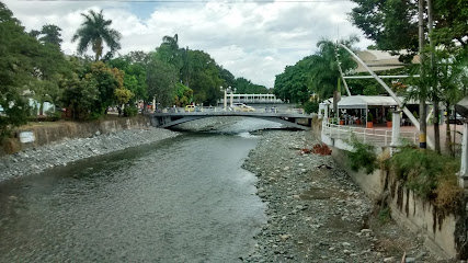 Puente Blanco Calle 26