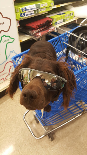 Pet Supply Store «PetSmart», reviews and photos, 3 McKenna Rd, Arden, NC 28704, USA