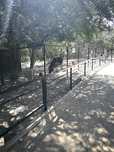 Zoo «Austin Zoo», reviews and photos, 10808 Rawhide Trail, Austin, TX 78736, USA