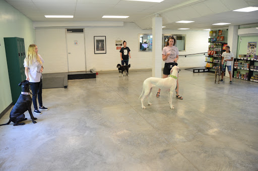 Dog Trainer «Mad 4 My Dog», reviews and photos, 702 E Temperance St, Ellettsville, IN 47429, USA