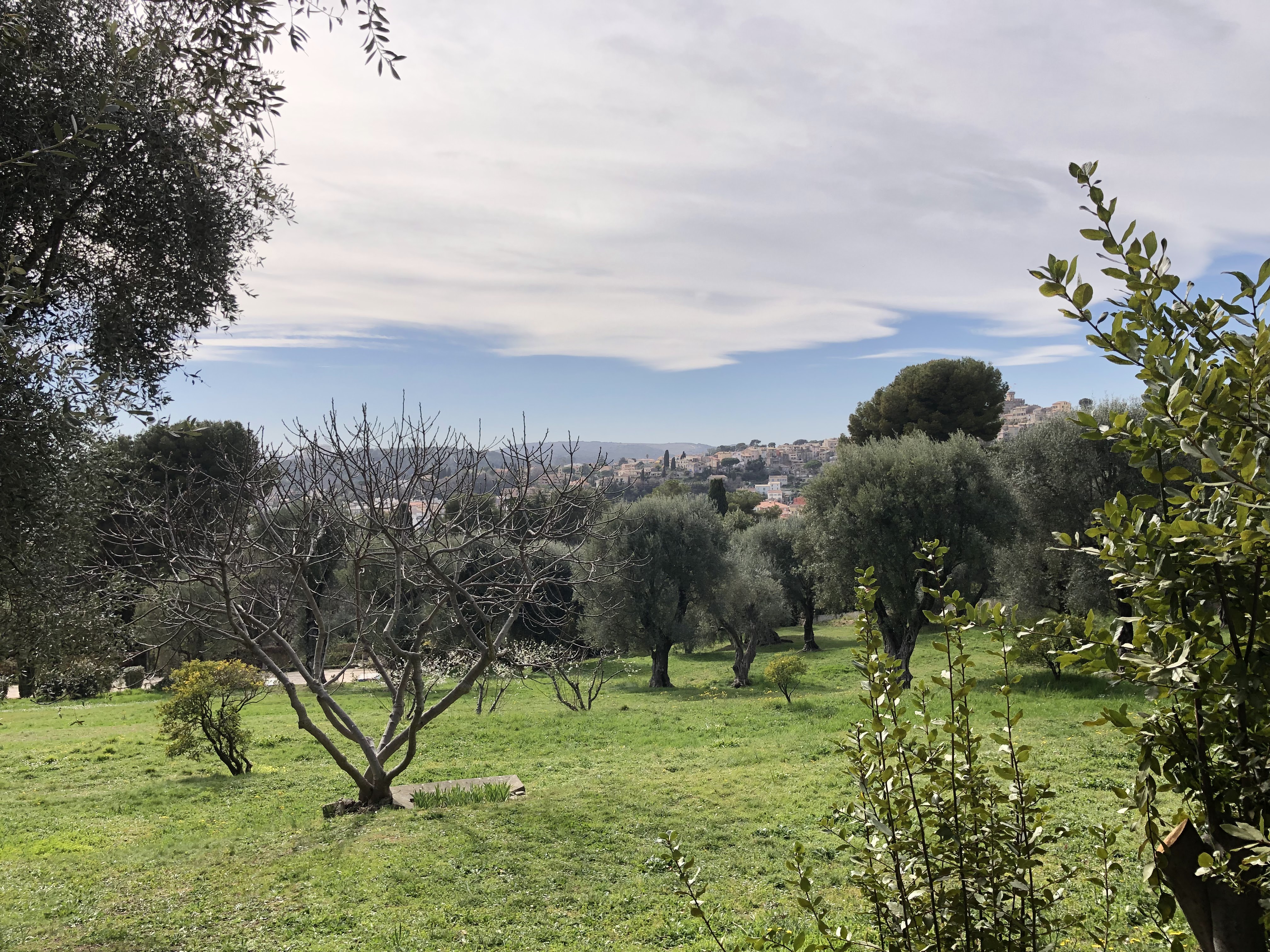 Photo n° 6 de l'avis de Denis.u fait le 25/04/2019 à 10:20