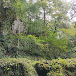 Photo n° 1 de l'avis de Catherine.A fait le 15/08/2020 à 11:44 pour Espace Préhistoire de Labastide à Labastide