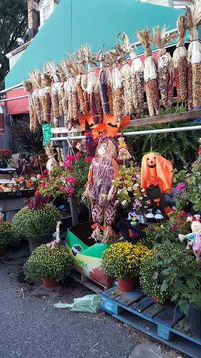 Produce Market «Hudson Farmers Market», reviews and photos, 3437 John F. Kennedy Blvd, Jersey City, NJ 07307, USA