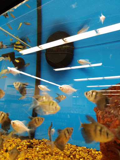 Pet Supply Store «Petco Animal Supplies», reviews and photos, 3637 2700 W, West Valley City, UT 84119, USA