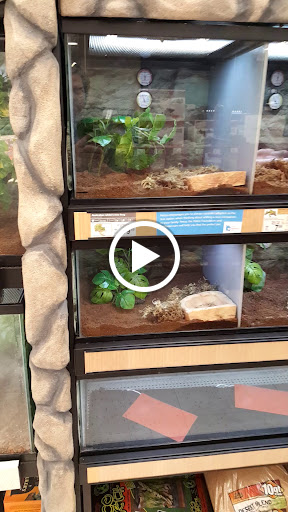 Pet Supply Store «Petco Animal Supplies», reviews and photos, 11398 Bandera Rd #403, San Antonio, TX 78250, USA