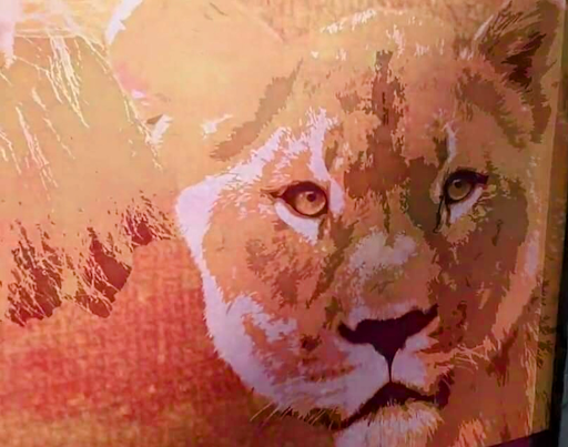 Zoo «Sacramento Zoo», reviews and photos, 3930 W Land Park Dr, Sacramento, CA 95822, USA