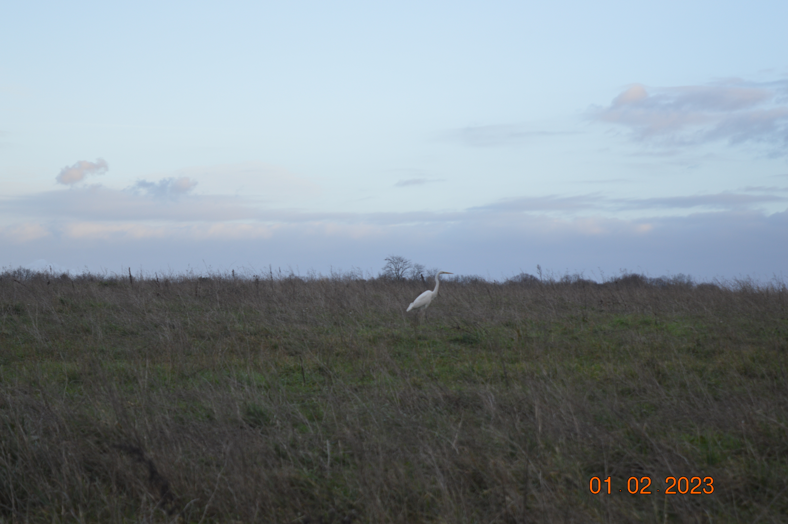Photo n° 2 de l'avis de Noé.e fait le 04/02/2023 à 18:29