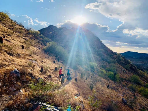 Bicycle Store «Bike Barn», reviews and photos, 4112 N 36th St, Phoenix, AZ 85018, USA