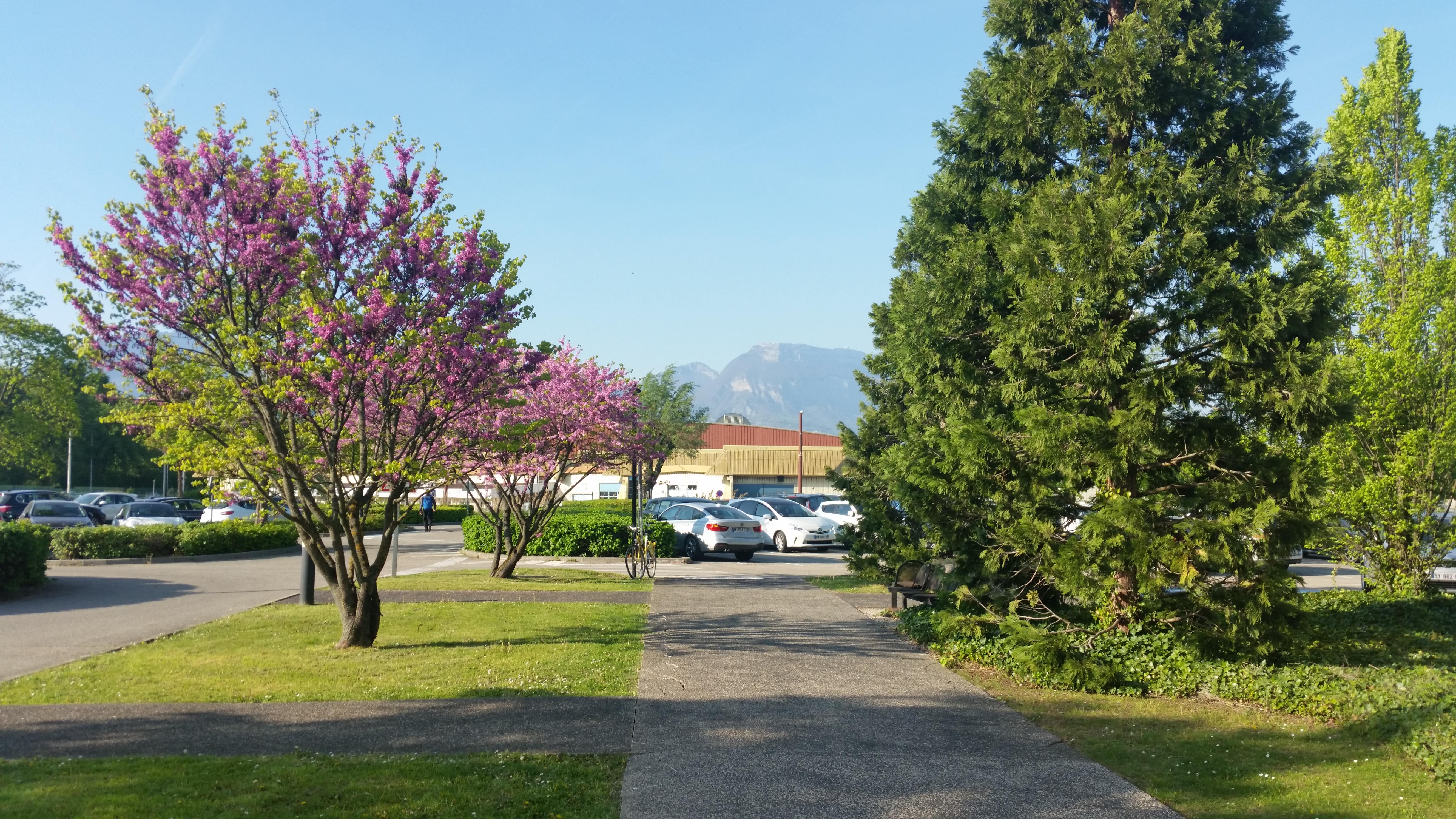 Photo n° 1 de l'avis de Tomasz.o fait le 21/06/2017 à 06:37