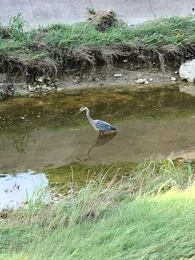 Park «Jaycee - Baker Park», reviews and photos, 500 Belmont Dr, Hurst, TX 76053, USA