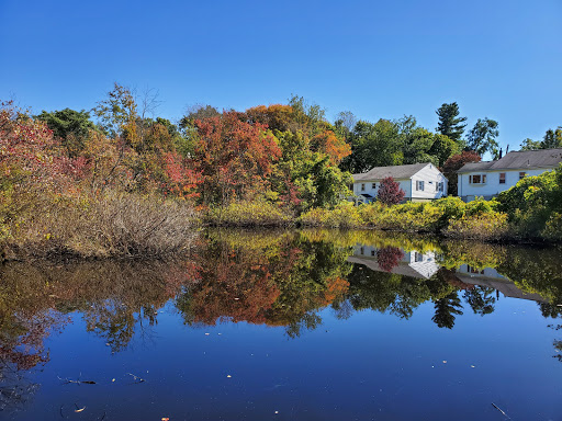 Nature Preserve «Dolan Pond Conservation Area», reviews and photos, Webster Park, West Newton, MA 02465, USA