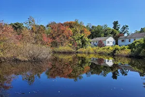 Dolan Pond Conservation Area image