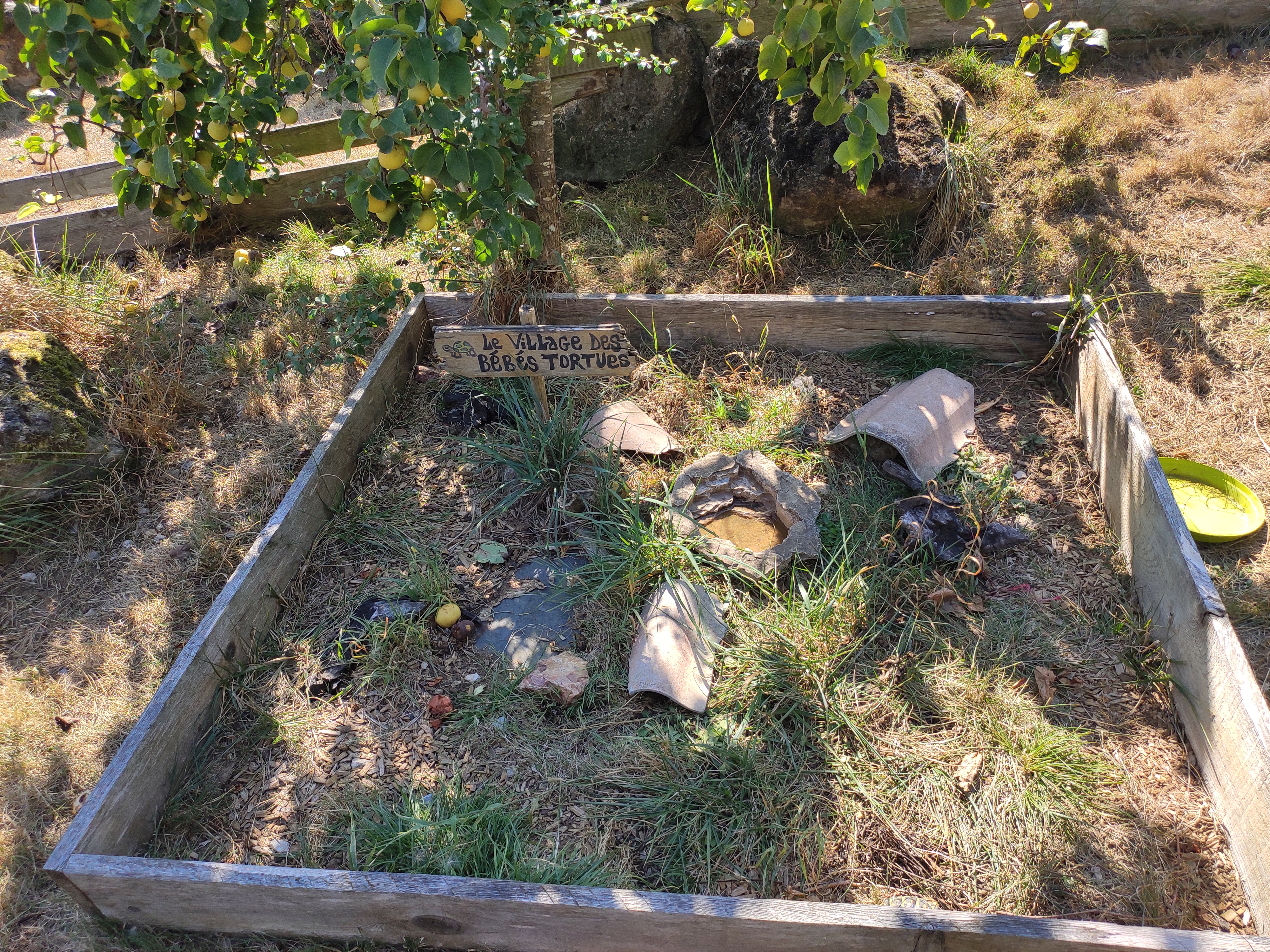 Photo n° 6 de l'avis de Sylvie.h fait le 20/08/2020 à 20:11