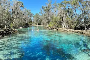 Hunter Springs Kayaks image