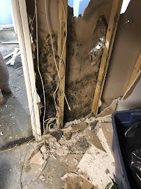 Restoration 1 of Western Colorado - Photo 5 - Car repair in , Grand Junction