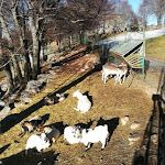 Photo n°4 de l'avis de Andrea.u fait le 24/12/2017 à 15:54 sur le  Rifugio Monte Poieto à Aviatico