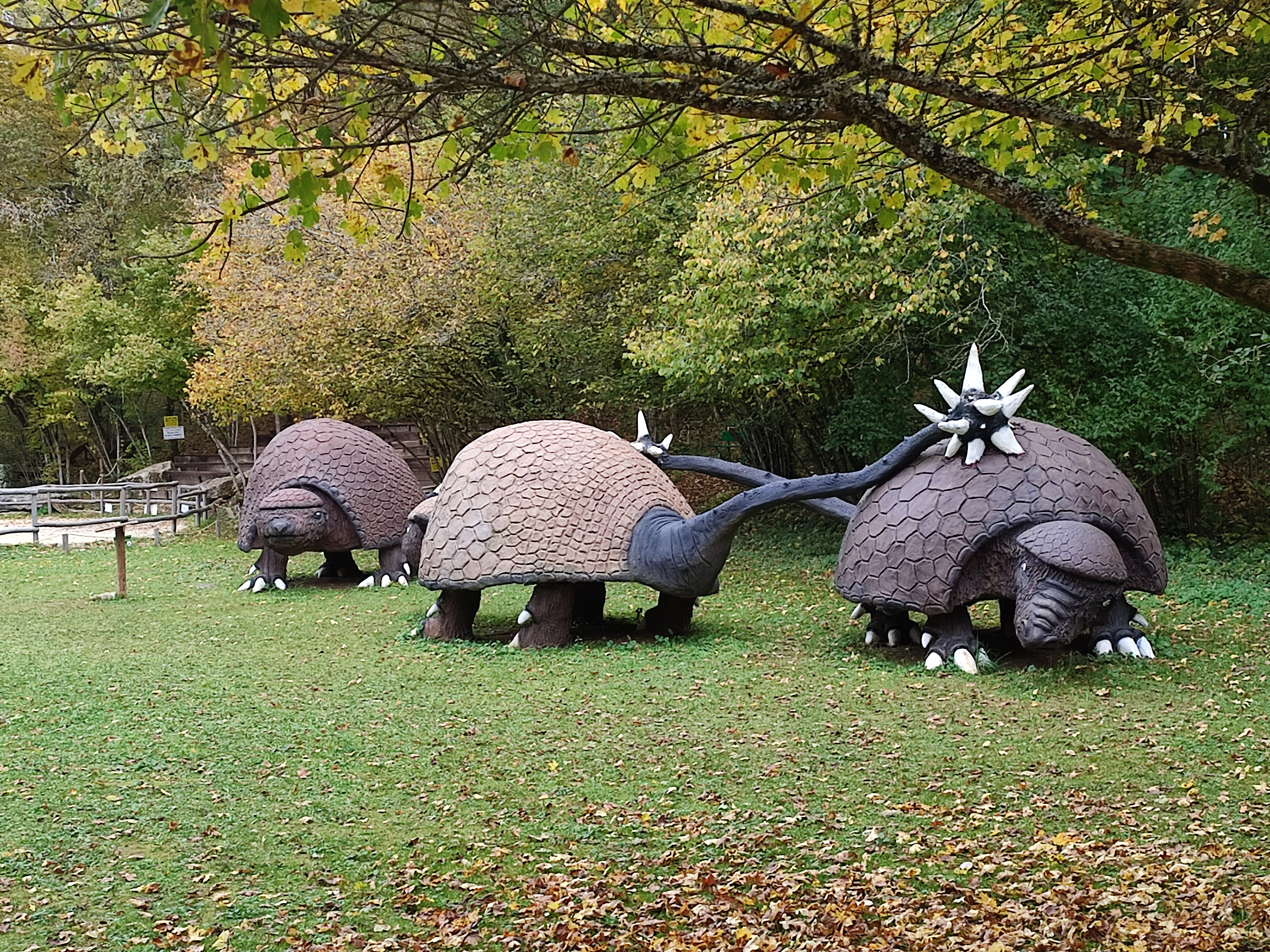 Photo n° 21 de l'avis de Anna.e fait le 05/11/2021 à 20:07