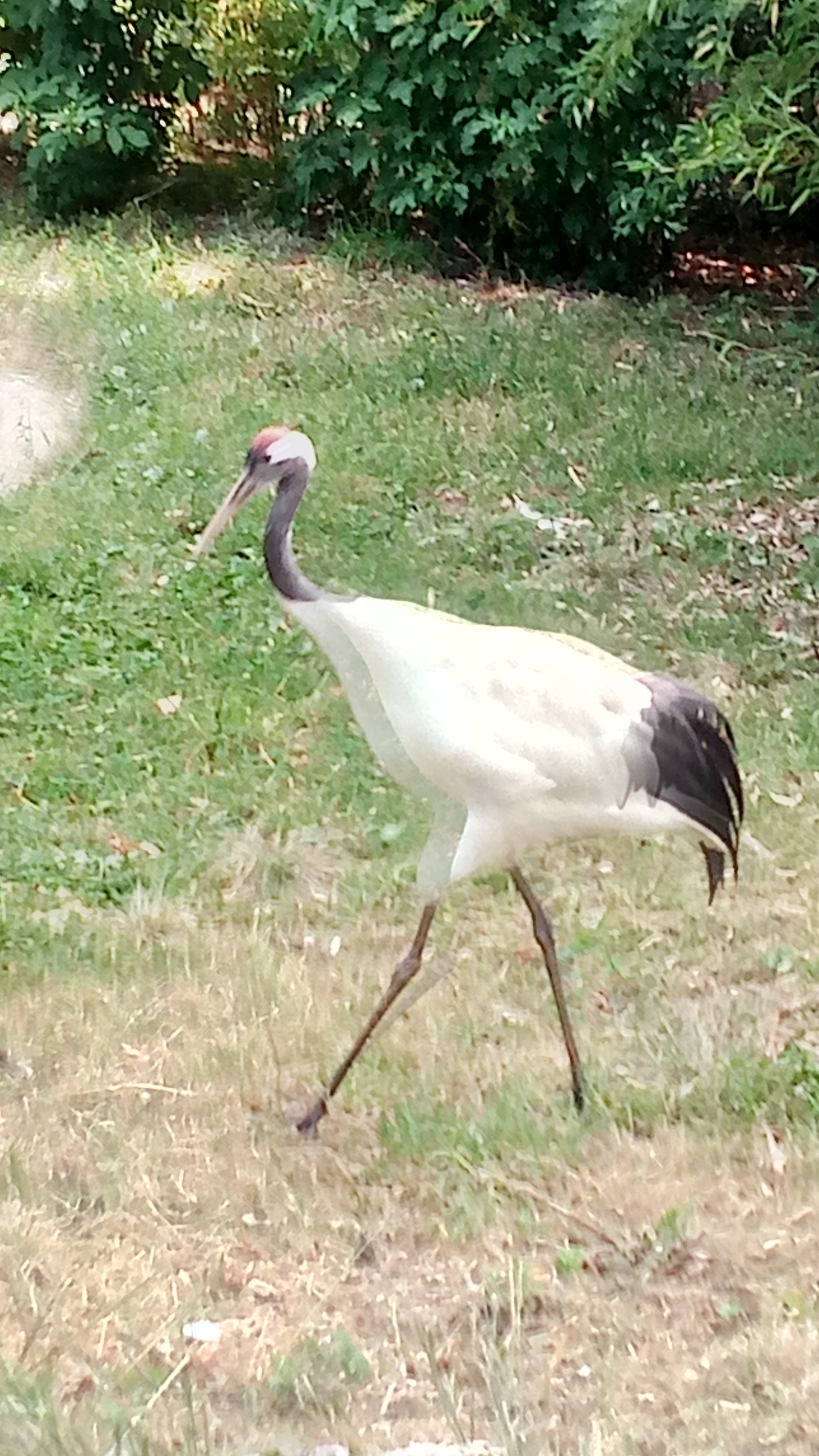 Photo n° 12 de l'avis de patrice.a fait le 12/07/2019 à 07:54