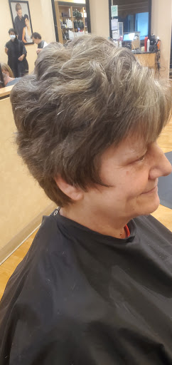 Hair Salon «Holiday Hair», reviews and photos, 2357 Schoenersville Rd, Bethlehem, PA 18017, USA