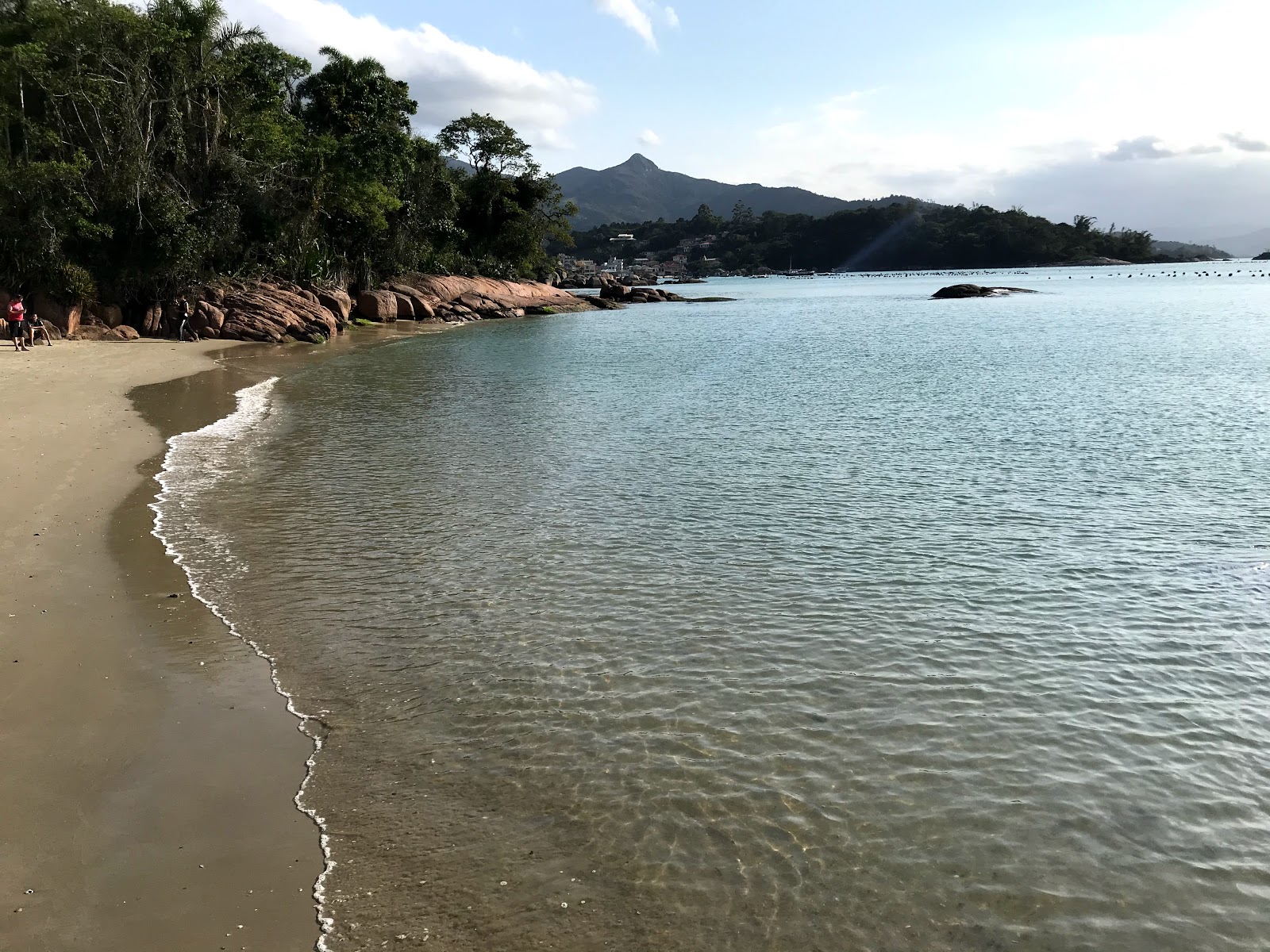 Prainha de Ganchos de Fora的照片 带有碧绿色纯水表面