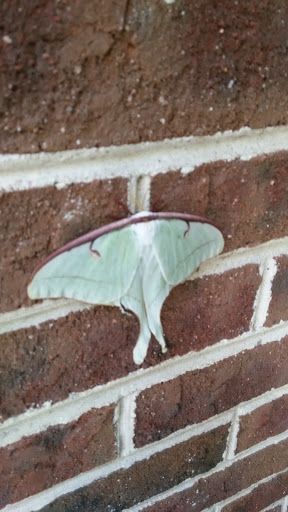 Internet Service Provider «Hargray», reviews and photos, 65 Towne Dr #65, Bluffton, SC 29910, USA