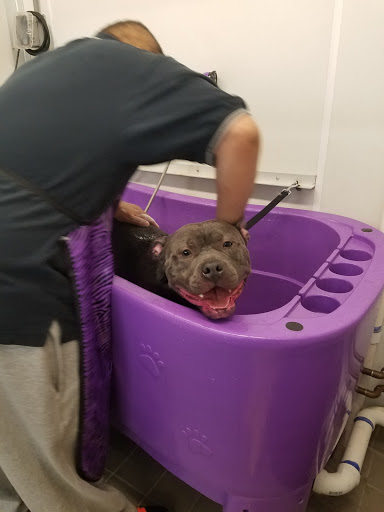 Pet Supply Store «Bow Wow and Meow Pet Supplies», reviews and photos, 1648 S 4th St, Allentown, PA 18103, USA