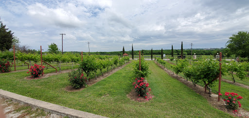 Winery «San Martino Winery & Vineyards», reviews and photos, 12512 State Hwy 205, Lavon, TX 75166, USA