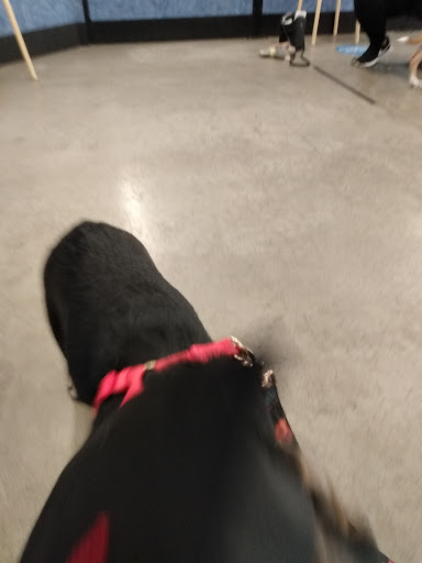 Pet Supply Store «PetSmart», reviews and photos, 475 Bank St, Waterbury, CT 06708, USA