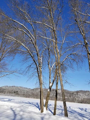 Ski Resort «Welch Village Ski & Snowboard Area», reviews and photos, 26685 County 7 Blvd, Welch, MN 55089, USA