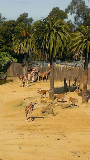 Zoo «Oakland Zoo», reviews and photos, 9777 Golf Links Rd, Oakland, CA 94605, USA
