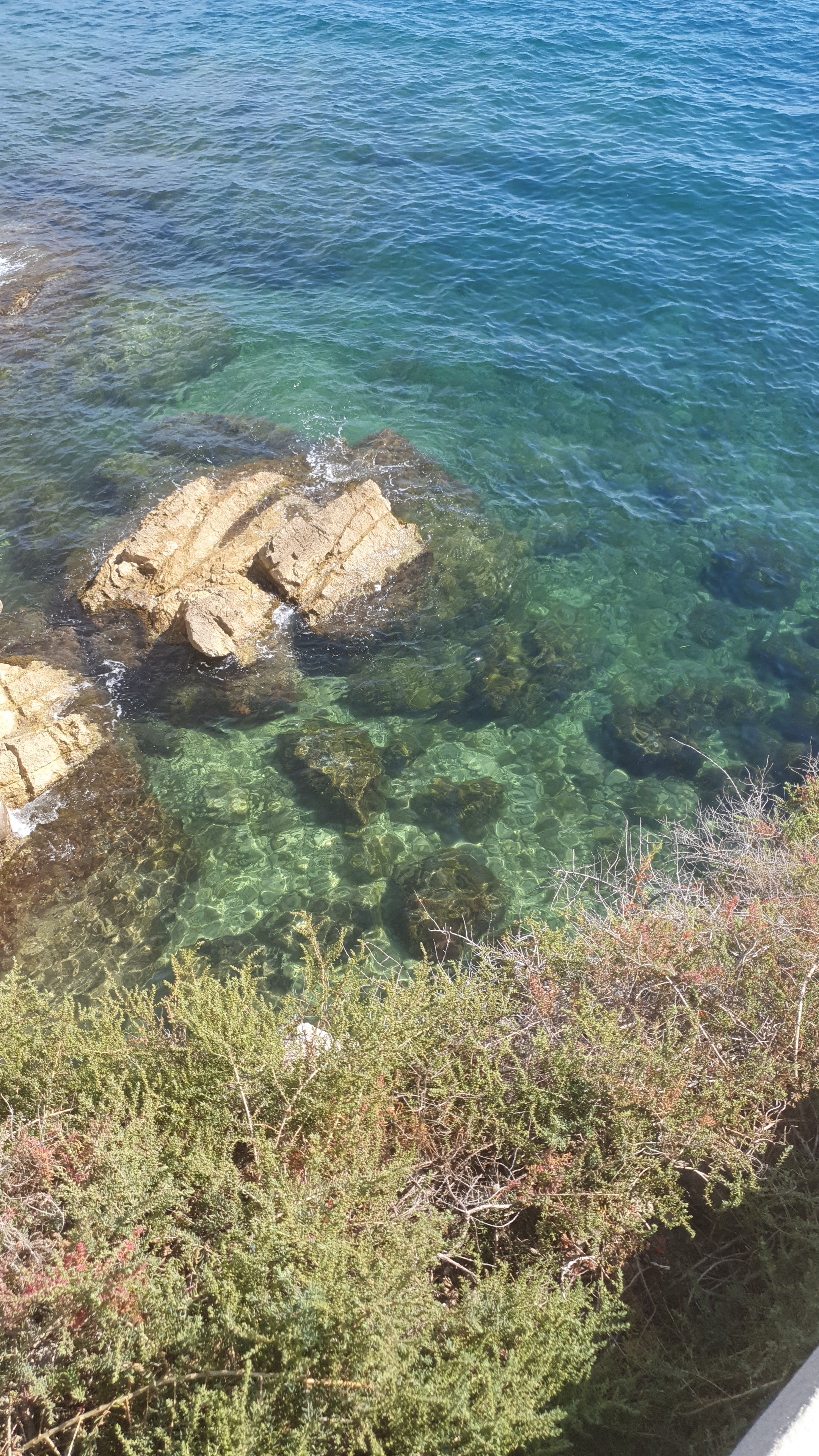 Photo n° 13 de l'avis de Saly.a fait le 07/03/2022 à 10:03