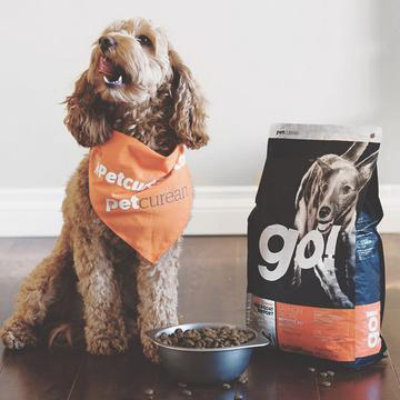 Pet Supply Store «Dogge Style Pets Passyunk», reviews and photos, 1700 E Passyunk Ave, Philadelphia, PA 19148, USA