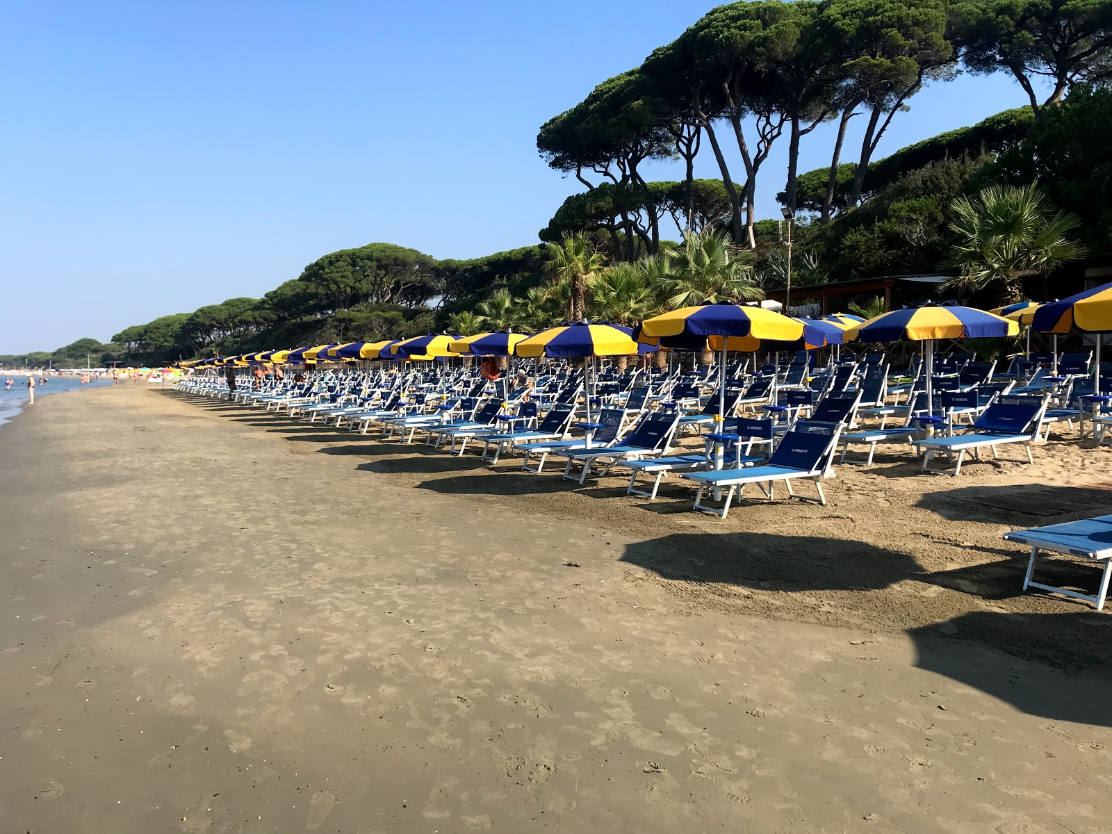 Foto de Praia de Follonica com água azul superfície