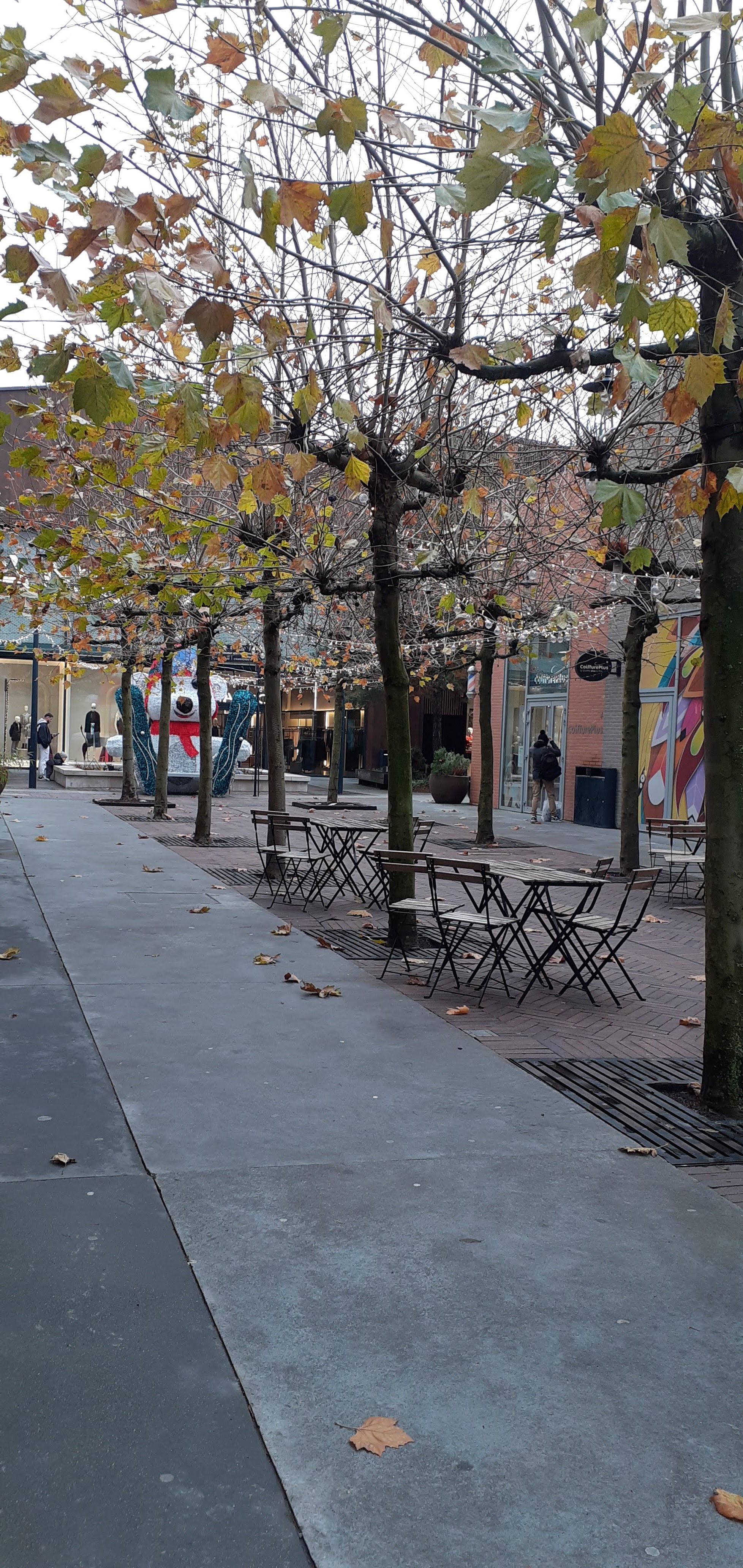 Photo n° 1 de l'avis de Irène.r fait le 05/12/2023 à 12:10