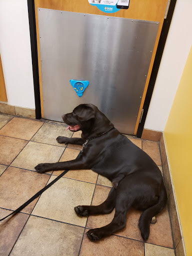 Pet Supply Store «PetSmart», reviews and photos, 7355 Market Pl Dr, Aurora, OH 44202, USA