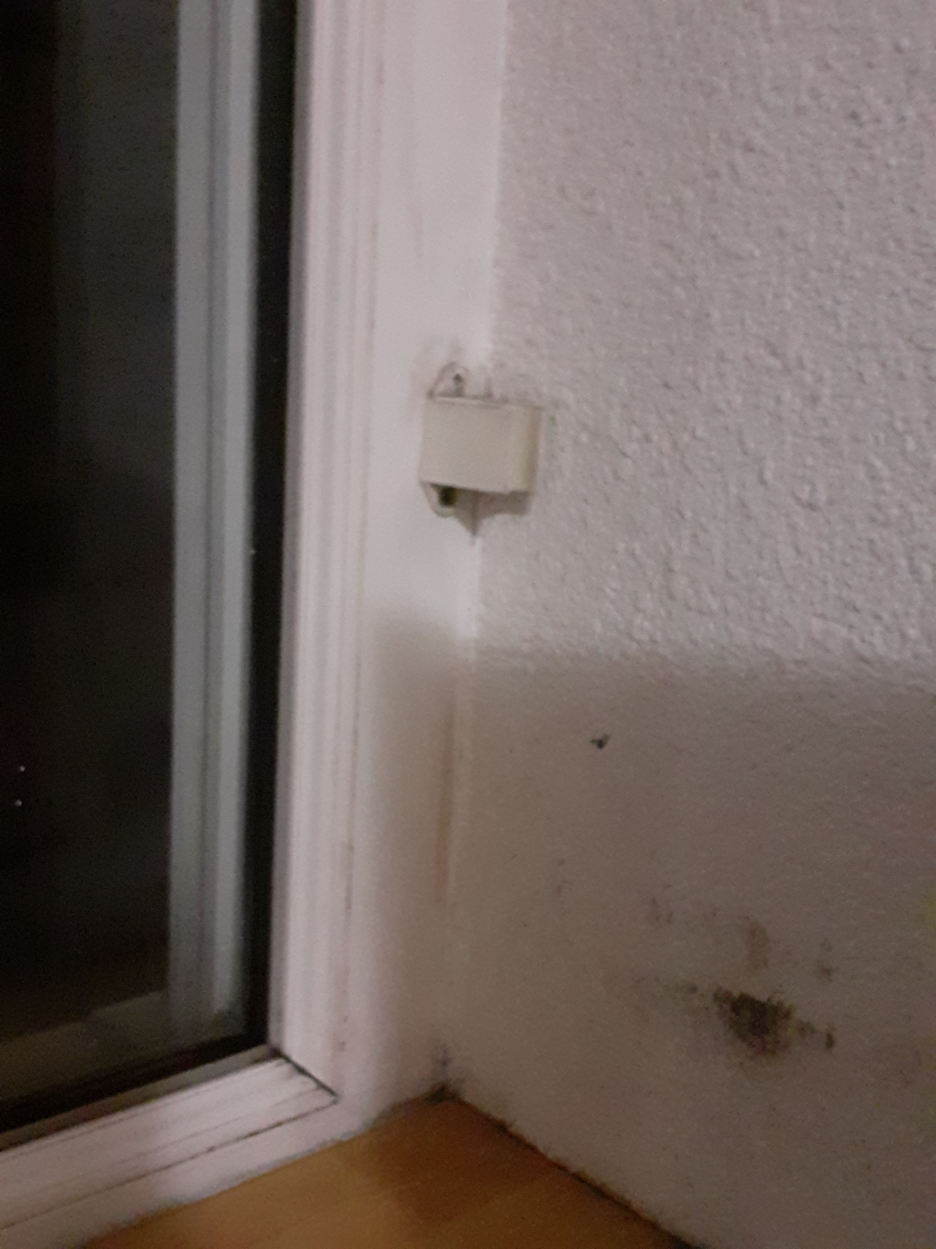 Photo n° 9 de l'avis de D. fait le 19/08/2021 à 15:46