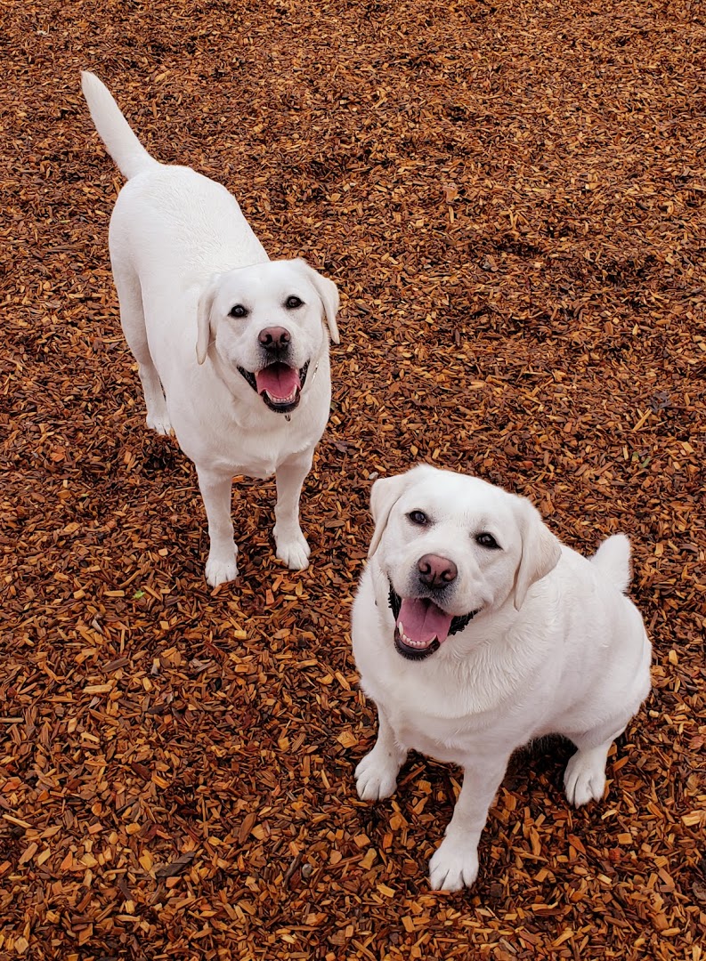 Cubby's Dog Park